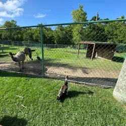 Carolina Historical Museum - Carolina