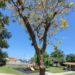 Paseo Lineal de Carolina - Carolina
