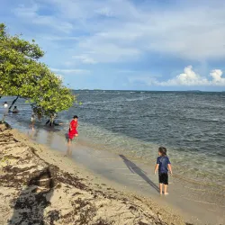 Paseo Tablado La Guancha - Carolina