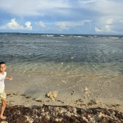 Paseo Tablado La Guancha - Carolina