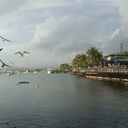 Paseo Tablado La Guancha - Carolina
