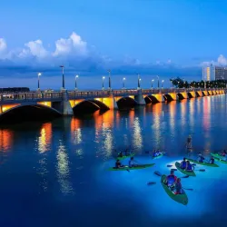 Mangrove Kayaking Tours - Catano