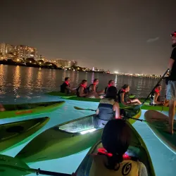 Mangrove Kayaking Tours - Catano
