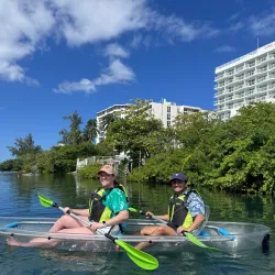 Mangrove Kayaking Tours - Catano