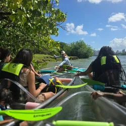 Mangrove Kayaking Tours - Catano