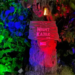 Mangrove Kayaking Tours - Catano