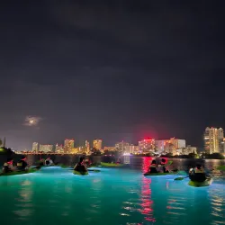 Mangrove Kayaking Tours - Catano