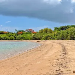 Parque de la Ceiba - Catano