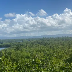 Piñones State Forest - Catano