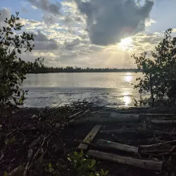 Piñones State Forest - Catano