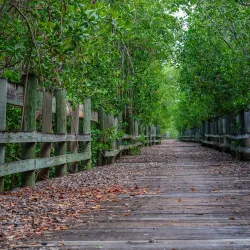 Piñones State Forest - Catano