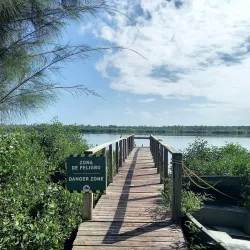 Piñones State Forest - Catano