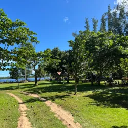 Piñones State Forest - Catano