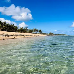 Playa La Pocita - Catano
