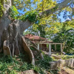 Ceiba Historical Museum - Ceiba