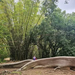 Ceiba Historical Museum - Ceiba