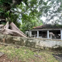 Ceiba Historical Museum - Ceiba