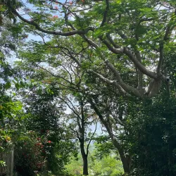 Ceiba Historical Museum - Ceiba