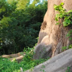Ceiba Historical Museum - Ceiba