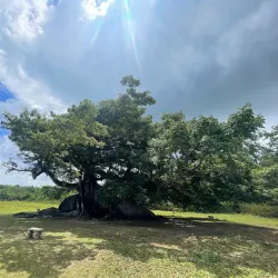 Ceiba Waterfront Park (Parque de la Marina) - Ceiba