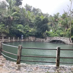 El Yunque National Forest (nearby) - Ceiba
