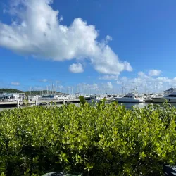 Marina Puerto del Rey - Ceiba