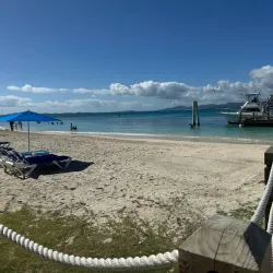 Palomino Island - Ceiba