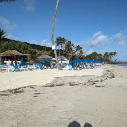 Palomino Island - Ceiba