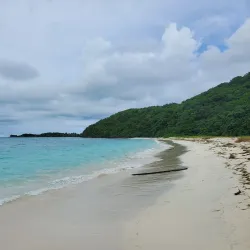 Palomino Island - Ceiba