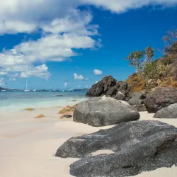 Palomino Island - Ceiba