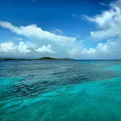 Palomino Island - Ceiba