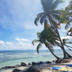 Palomino Island - Ceiba