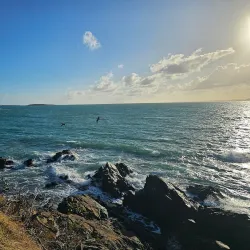 Roosevelt Roads Naval Station - Ceiba