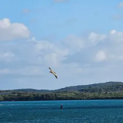 Roosevelt Roads Naval Station - Ceiba