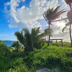 Roosevelt Roads Naval Station - Ceiba