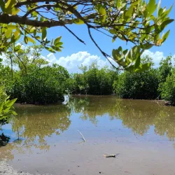 Roosevelt Roads Naval Station - Ceiba