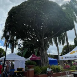 Casa Museo de Cidra - Cidra