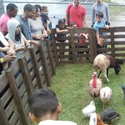 Cidra Agricultural Market - Cidra