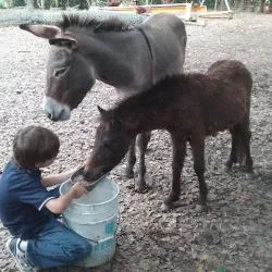Cidra Agricultural Market - Cidra