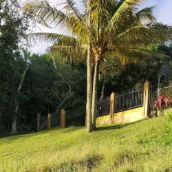 Cidra Agricultural Market - Cidra