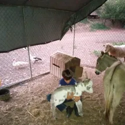 Cidra Agricultural Market - Cidra