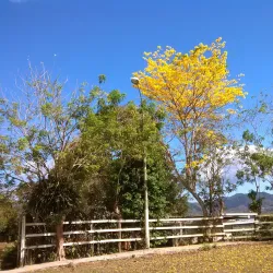 Cidra Agricultural Market - Cidra