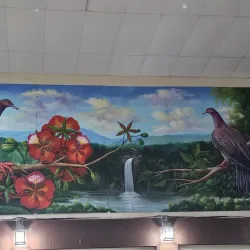 Cidra Cultural Center - Cidra