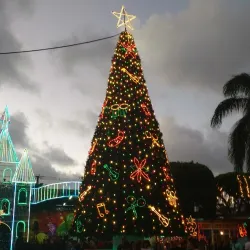Cidra Town Plaza (Plaza Pública de Cidra) - Cidra