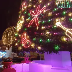 Cidra Town Plaza (Plaza Pública de Cidra) - Cidra