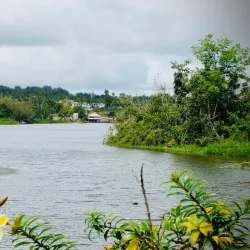 Lake Cidra (Lago de Cidra) - Cidra