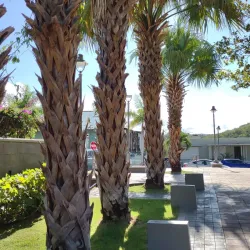 Casa Alcaldía de Coamo (Coamo City Hall) - Coamo