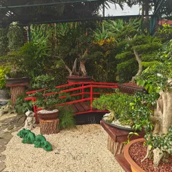 Festival de las Flores - Coamo