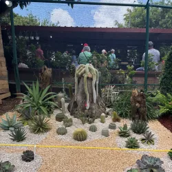 Festival de las Flores - Coamo