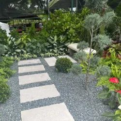 Festival de las Flores - Coamo